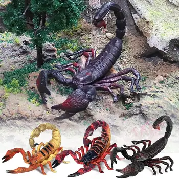 Darul Științei Naturii Jucărie De Învățământ Scene A Face Copii Cunoaștere Scorpion Model Halloween Consumabile Insecte Figurina
