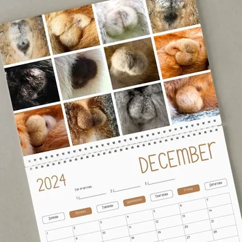 1 Bucata Pisica Amuzant Calendar - Cadou Amuzant - Pisici Fese Calendar 2024 Hârtie De Lux Cadouri Pisica - Pisica Testicule - Elefant Alb