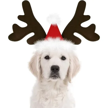Crăciun Câine Consumabile Elan Bentita Coarne De Cerb Ren Moș Crăciun Pălărie De Companie Crăciun Cool Costum De Câine Drăguț, Pălării, Accesorii