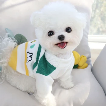 Câine de desene animate Pulover Toamna Teddy Unită Pulover Pulover Cald decât Urs animale de Companie Drăguț Haine Schnauzer Două Picioare Haine